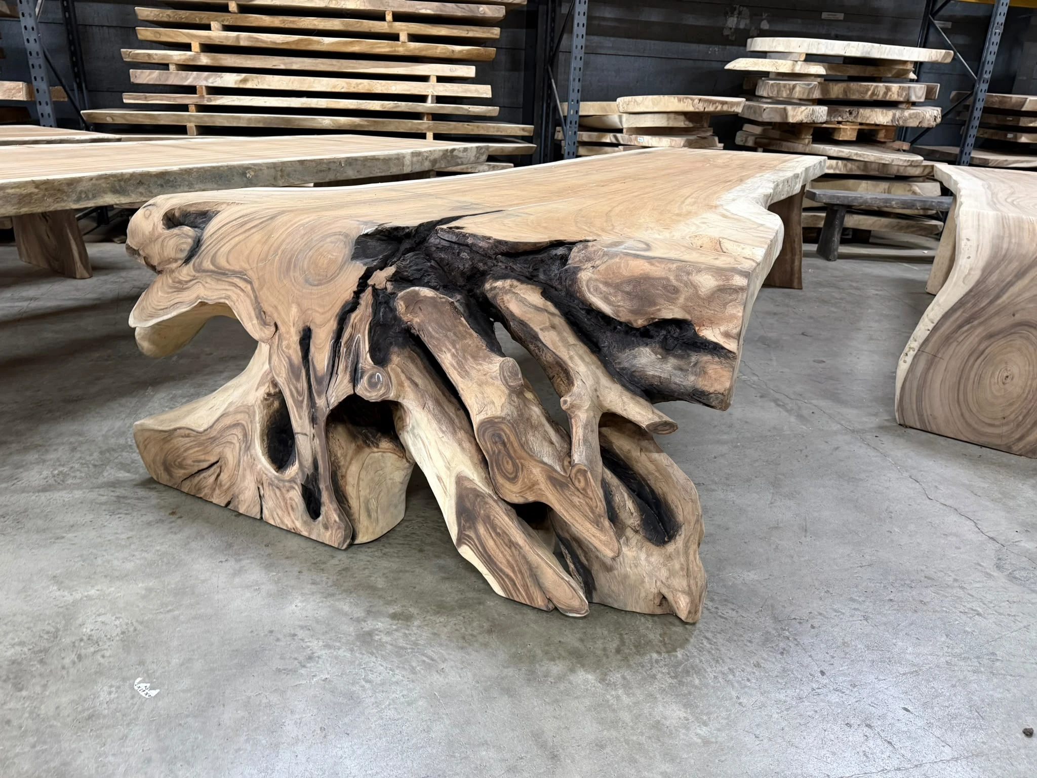 Waterval boomstamtafel suarhout Uniek 03 - World of Brosi