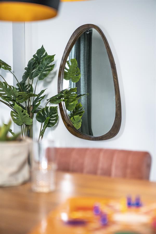 Plecto Mirror - By-Boo