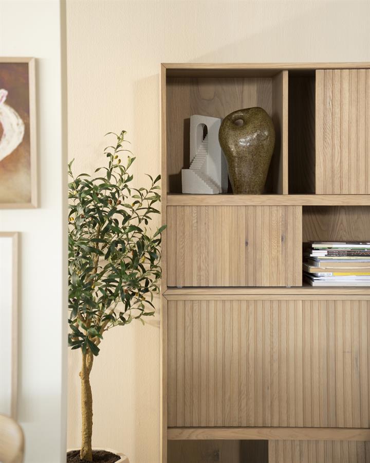 Mendi 1 in einem hellen Wohnzimmer mit einem Olivenbaum und Büchern, eine Detailaufnahme - By-Boo