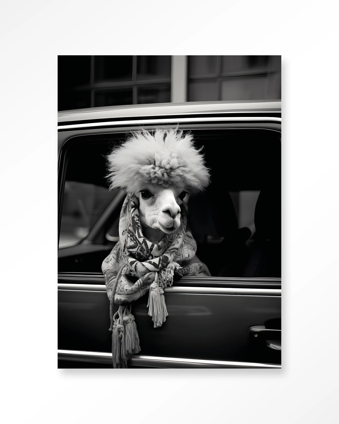 Wandteppich Alpaca In Taxi, ein Alpaka mit flauschigem Haar und einem Schal, das aus einem Autofenster schaut - Urban Cotton