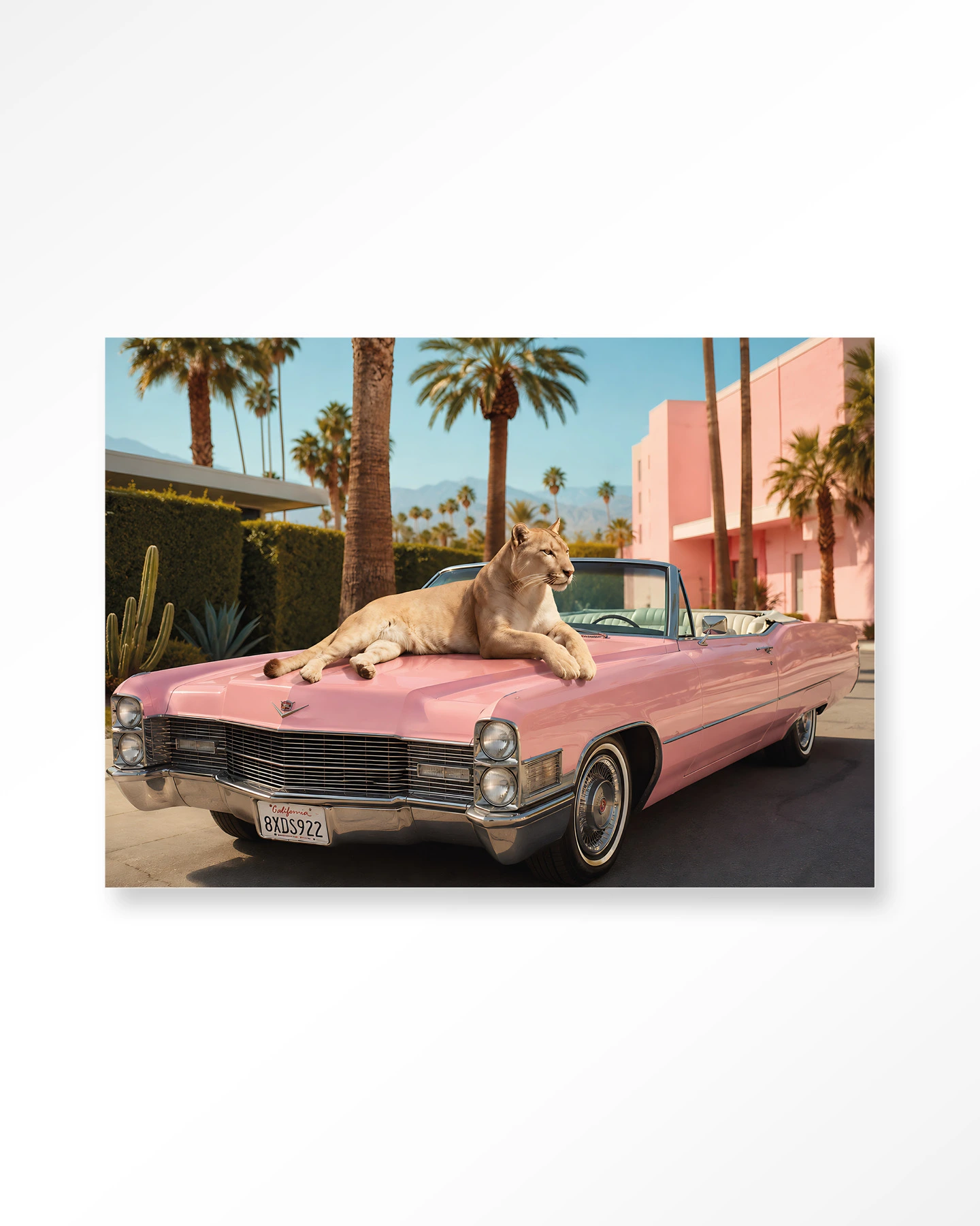Wall Hanging Palm Springs Pet - Urban Cotton - Urban Cotton