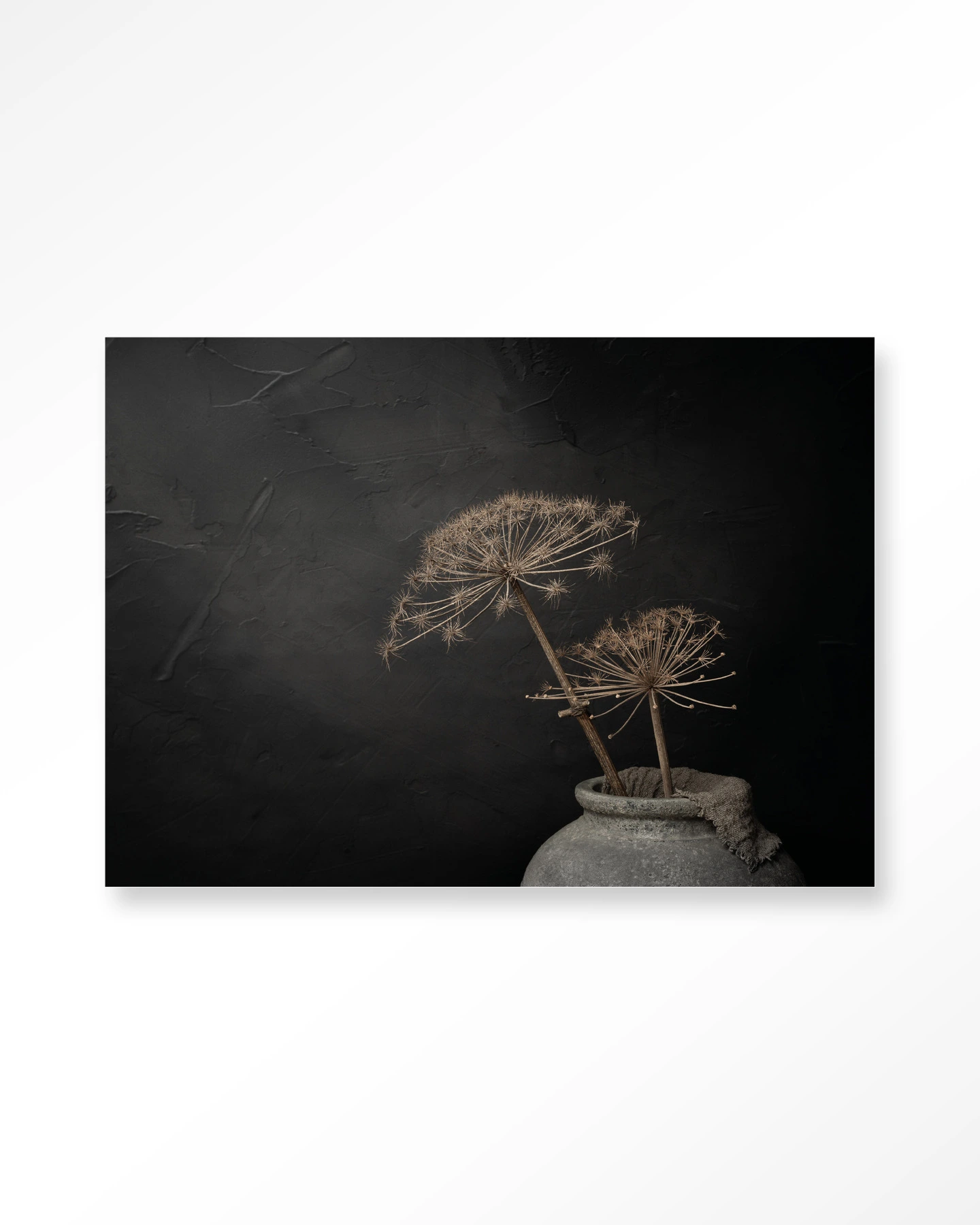Wandtuch Hogweed Serenity - Urban Cotton - Urban Cotton