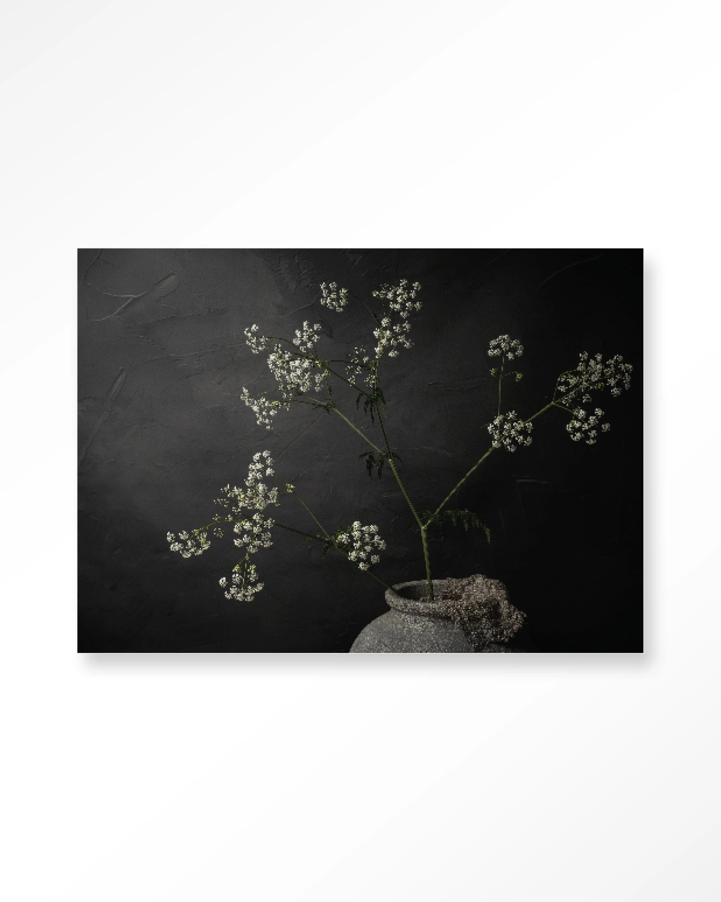 Wandtuch The Light Of Cow Parsley - Urban Cotton - Urban Cotton