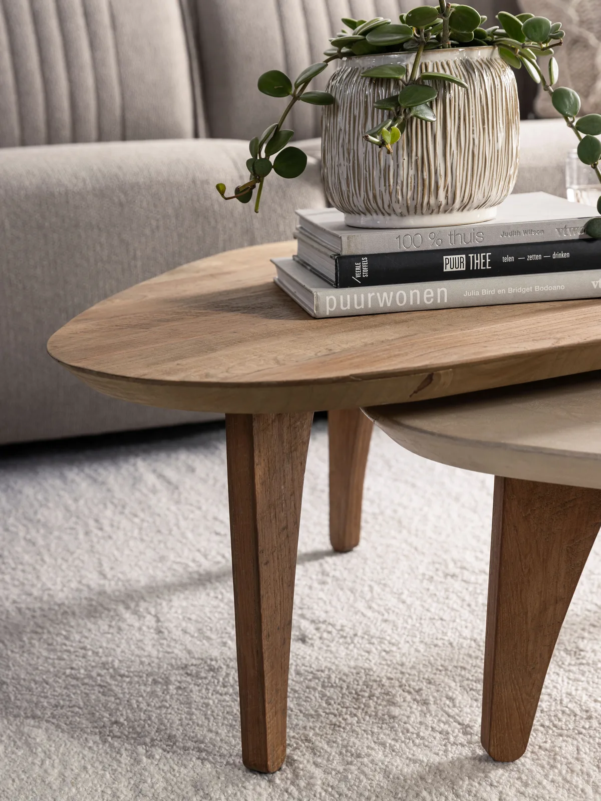 Couchtisch Bliss 2 in einer Wohnzimmerumgebung, mit Pflanze und Büchern auf der Tischplatte - DTP Home