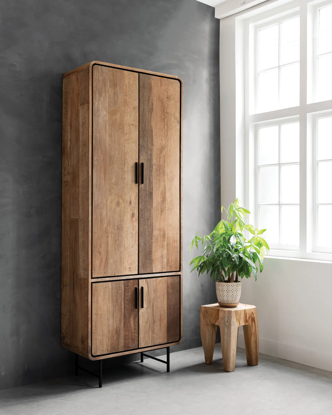 Kast Evo in een sfeervolle studio setting, staand tegen een donkergrijze muur met een plant op een krukje ernaast - DTP Home