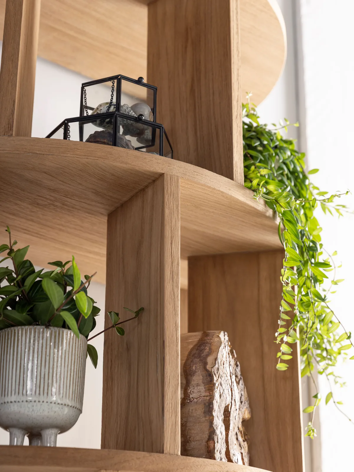 Detail van de ronde Boekenkast Forte, met een plant en decoratie op de houten planken - DTP Home