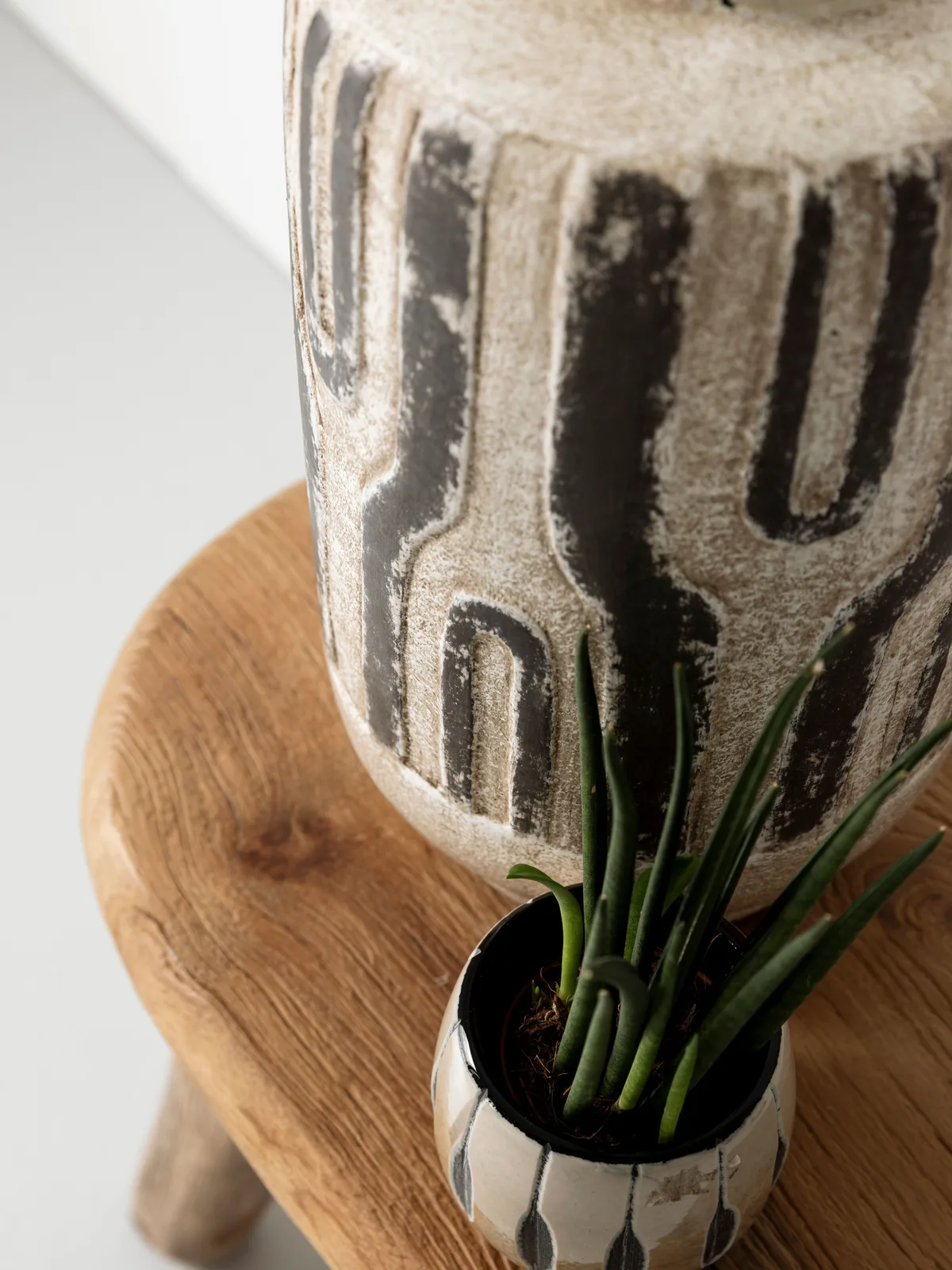 Detailaufnahme der Vase Porto mit einer kleinen Pflanze daneben auf einem Holzhocker - MUST Living