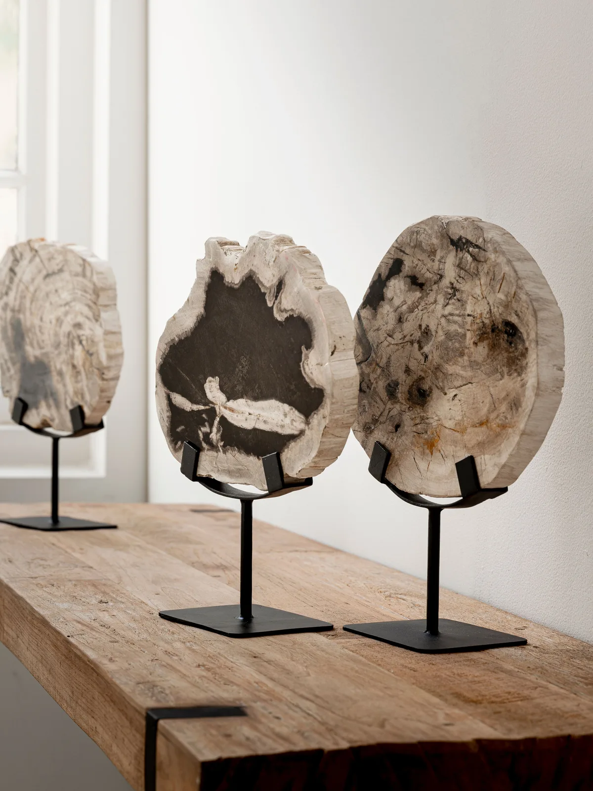 Artwork Statue Fossil - MUST Living