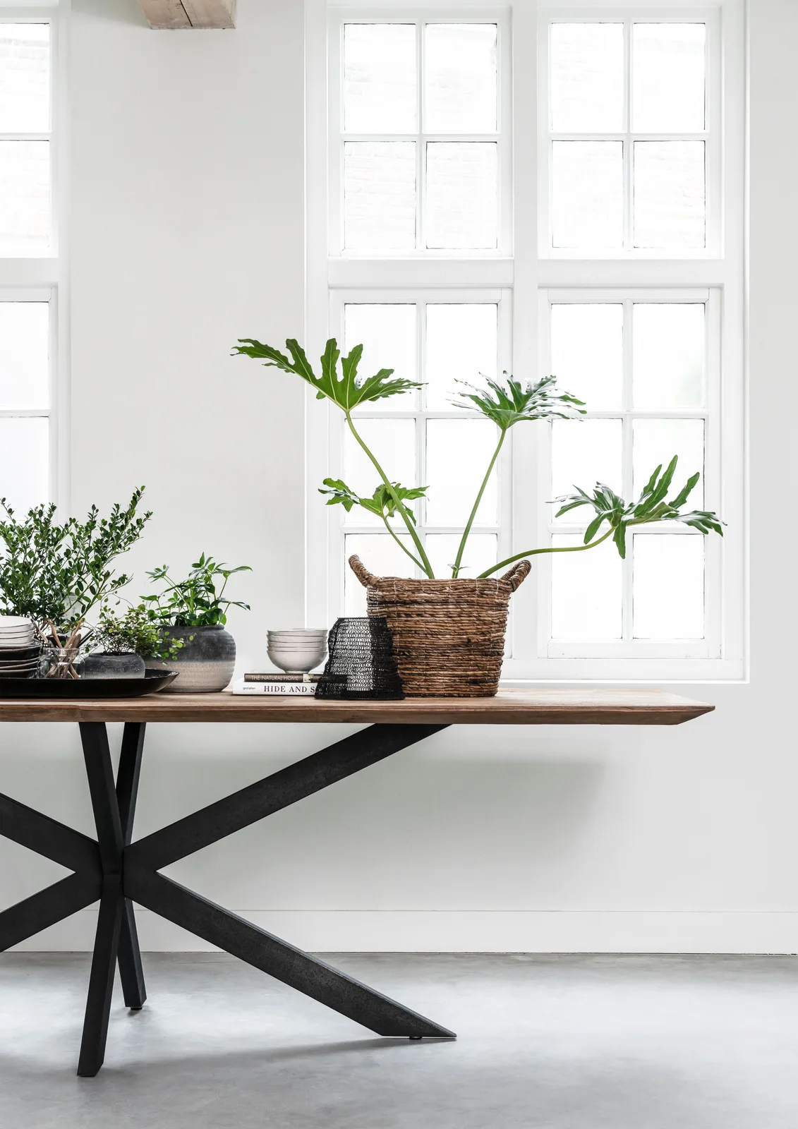 Esstisch Curves mit einer Holzplatte und schwarzem Metallgestell, dekoriert mit Pflanzen und Schalen, in einem hellen Raum - DTP Home