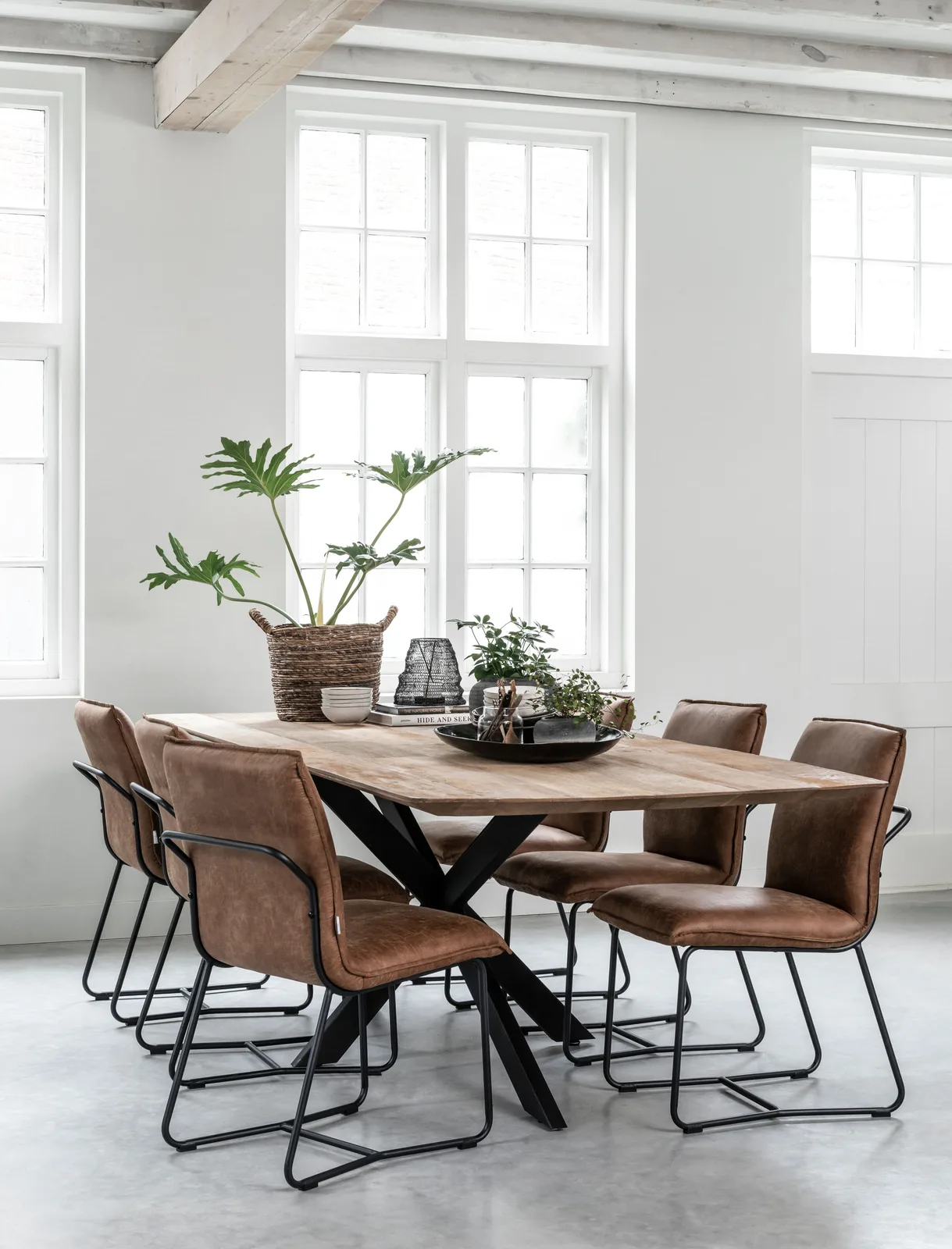 Esstisch Curves in einem hellen Esszimmer mit braunen Stühlen und Pflanzen auf dem Tisch - DTP Home
