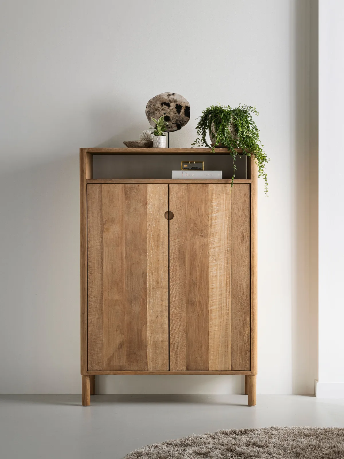 Kast Apollo laag in een lichte studio, met planten en decoratie op en in de open vakken - DTP Home