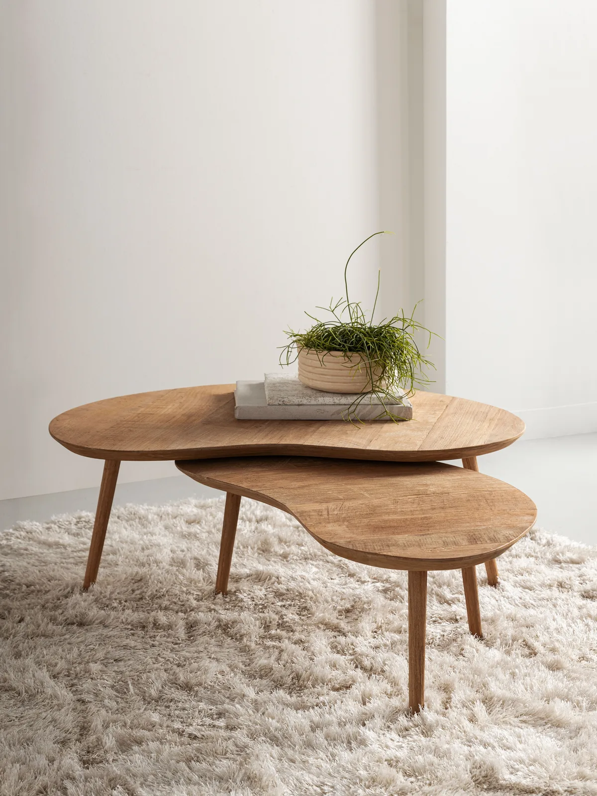 Der Couchtisch Apollo, ein Set aus zwei organisch geformten Tischen, steht auf einem weißen Hochflorteppich - DTP Home