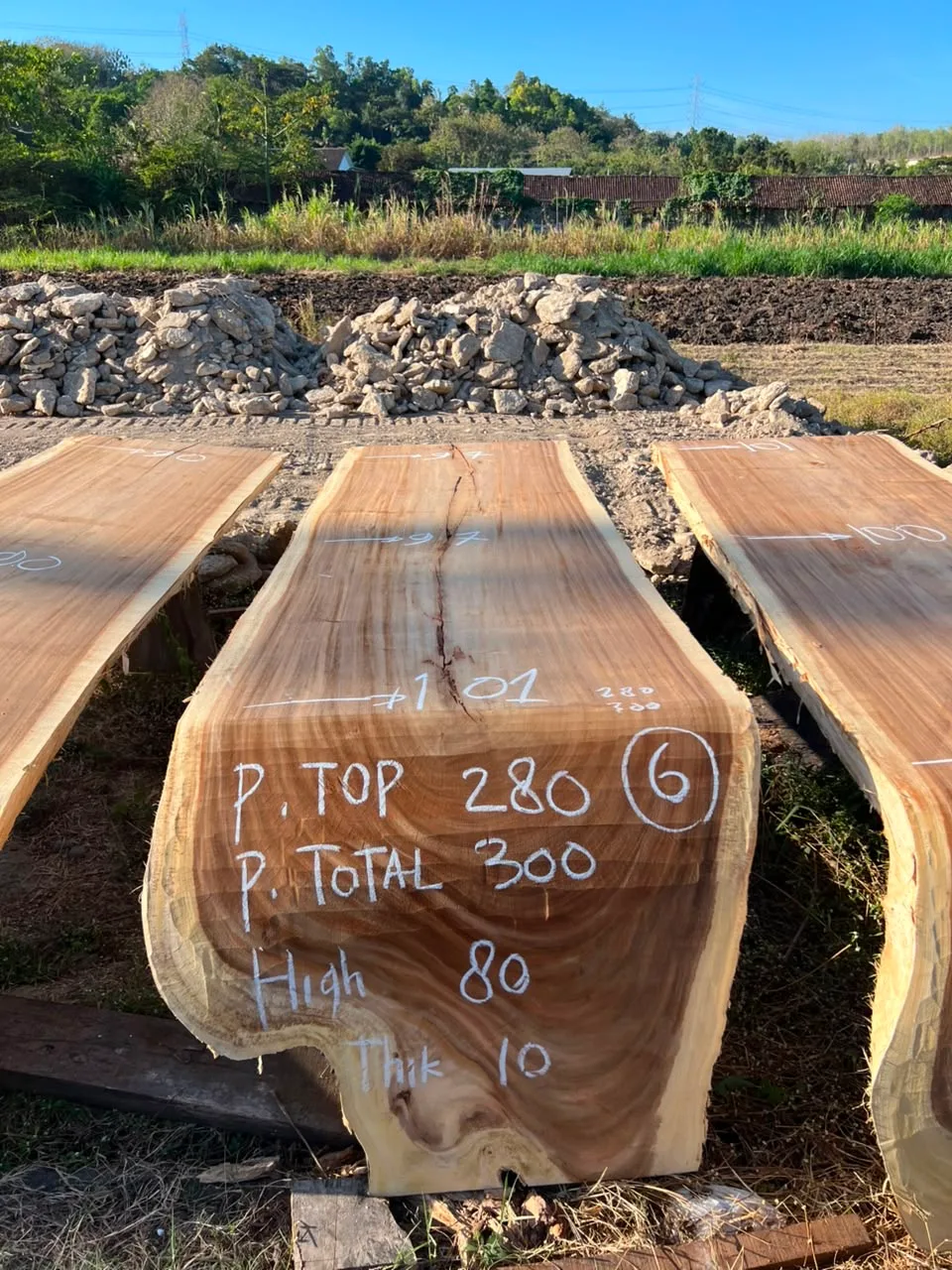 Waterfall tree trunk table suar wood | 280 cm - World of Brosi