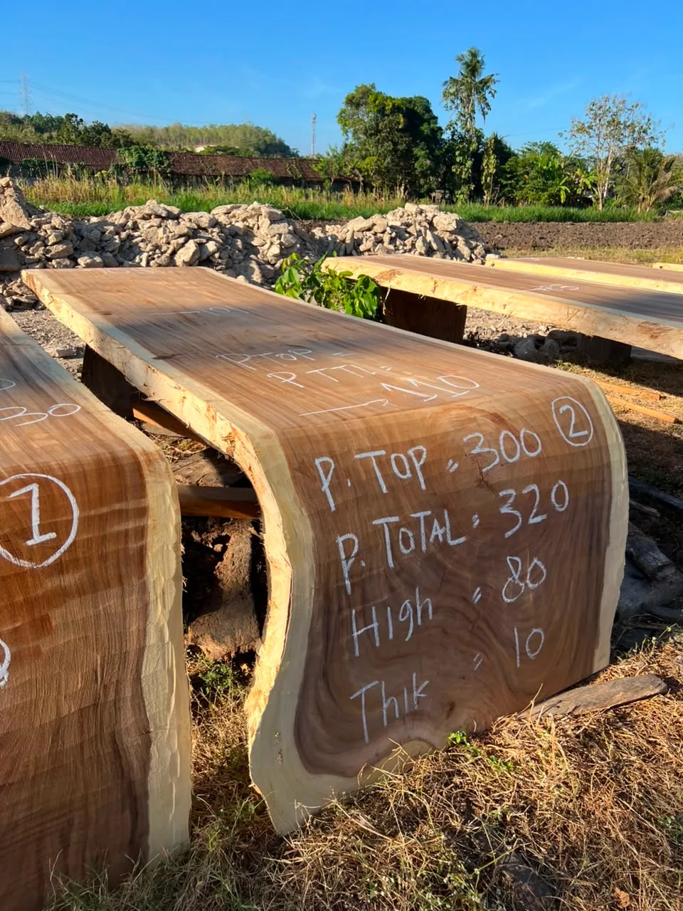 Waterfall tree trunk table suar wood | 300 cm - World of Brosi