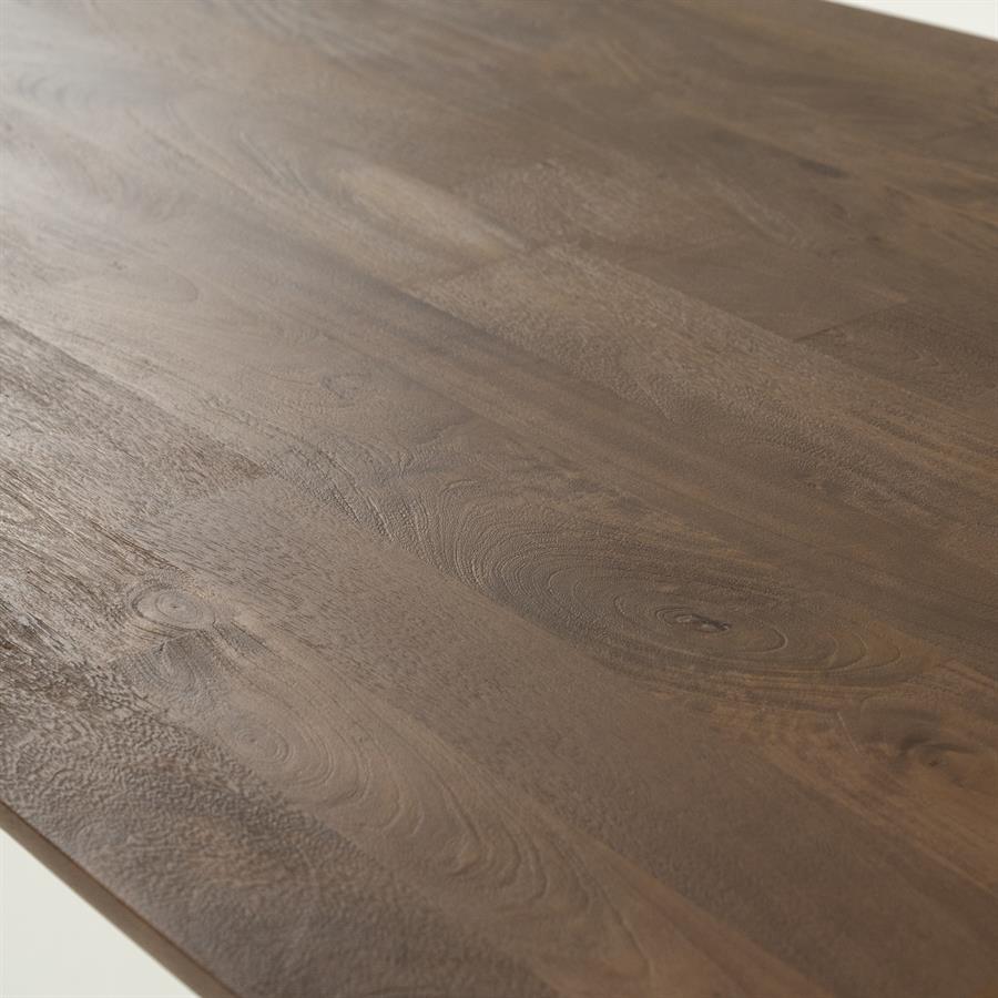 Dining table Coco 300x110 cm - light brown (Mango wood) - Eleonora