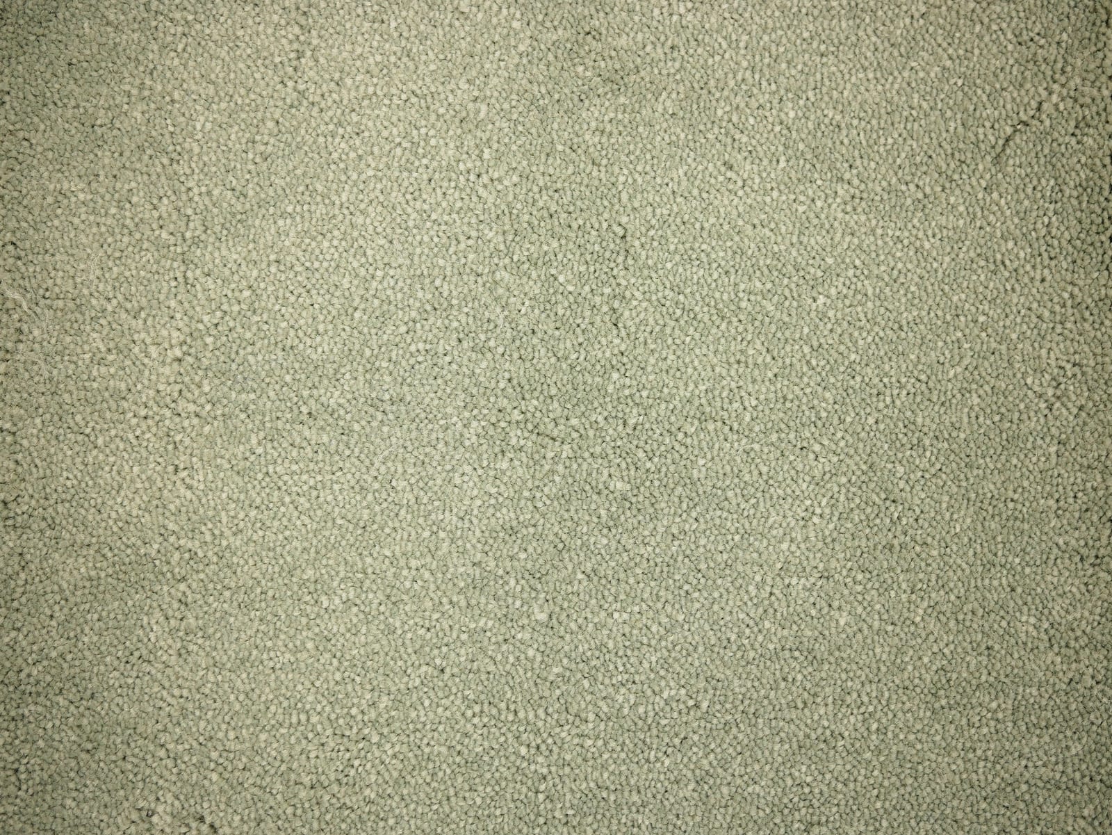 Rug Jade 40 - Eurogros