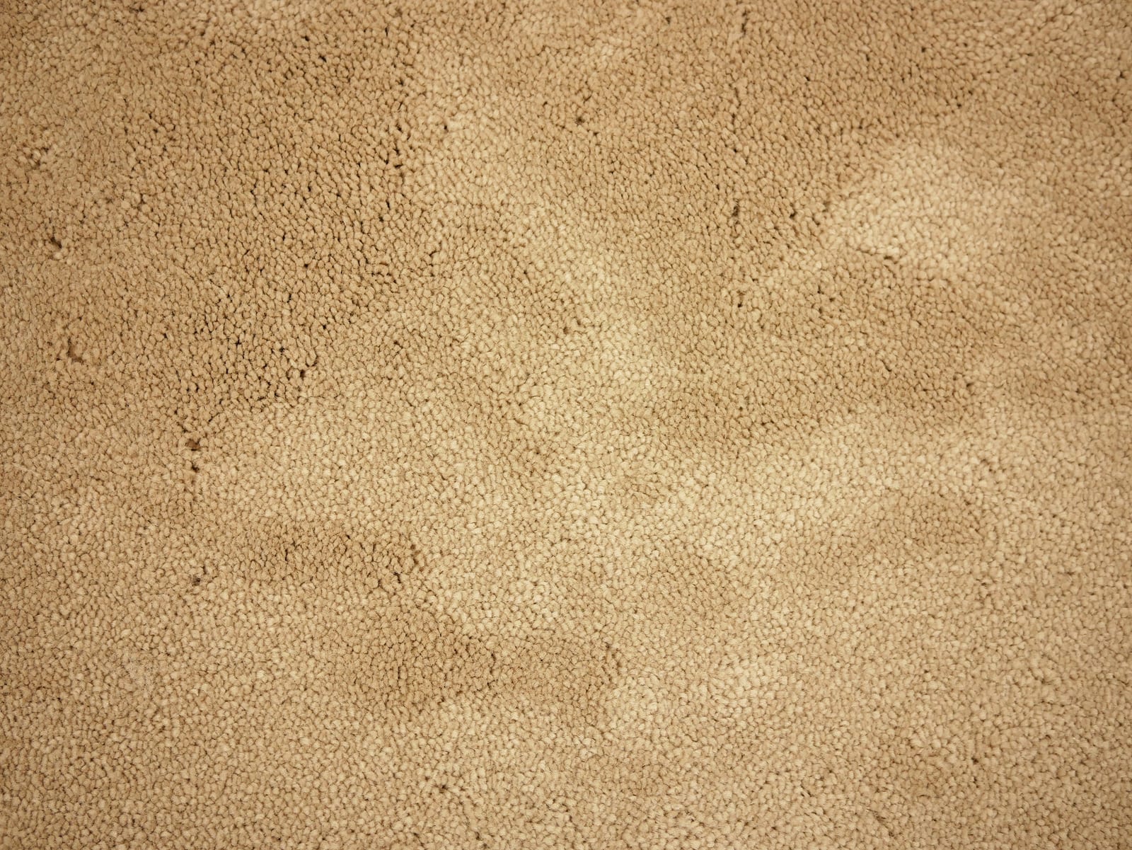 Rug Jade 91 - Eurogros