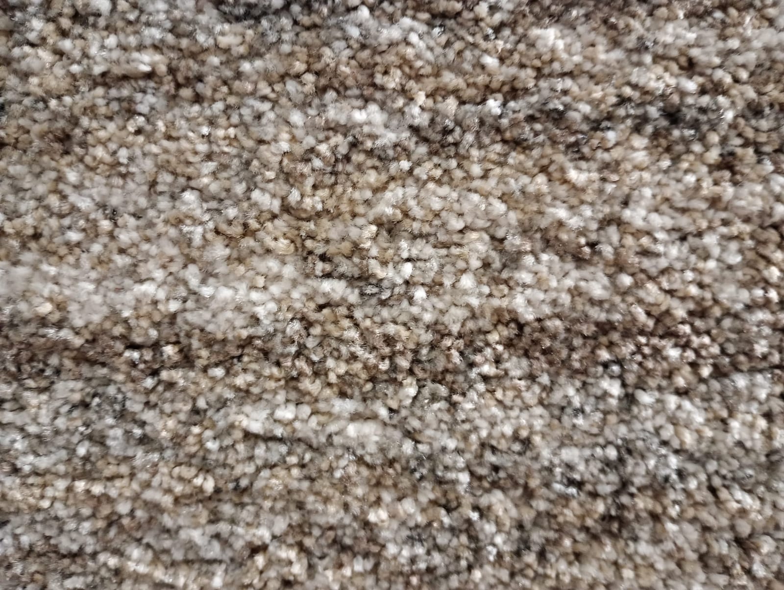 Teppich Manchester 6292 - Eurogros
