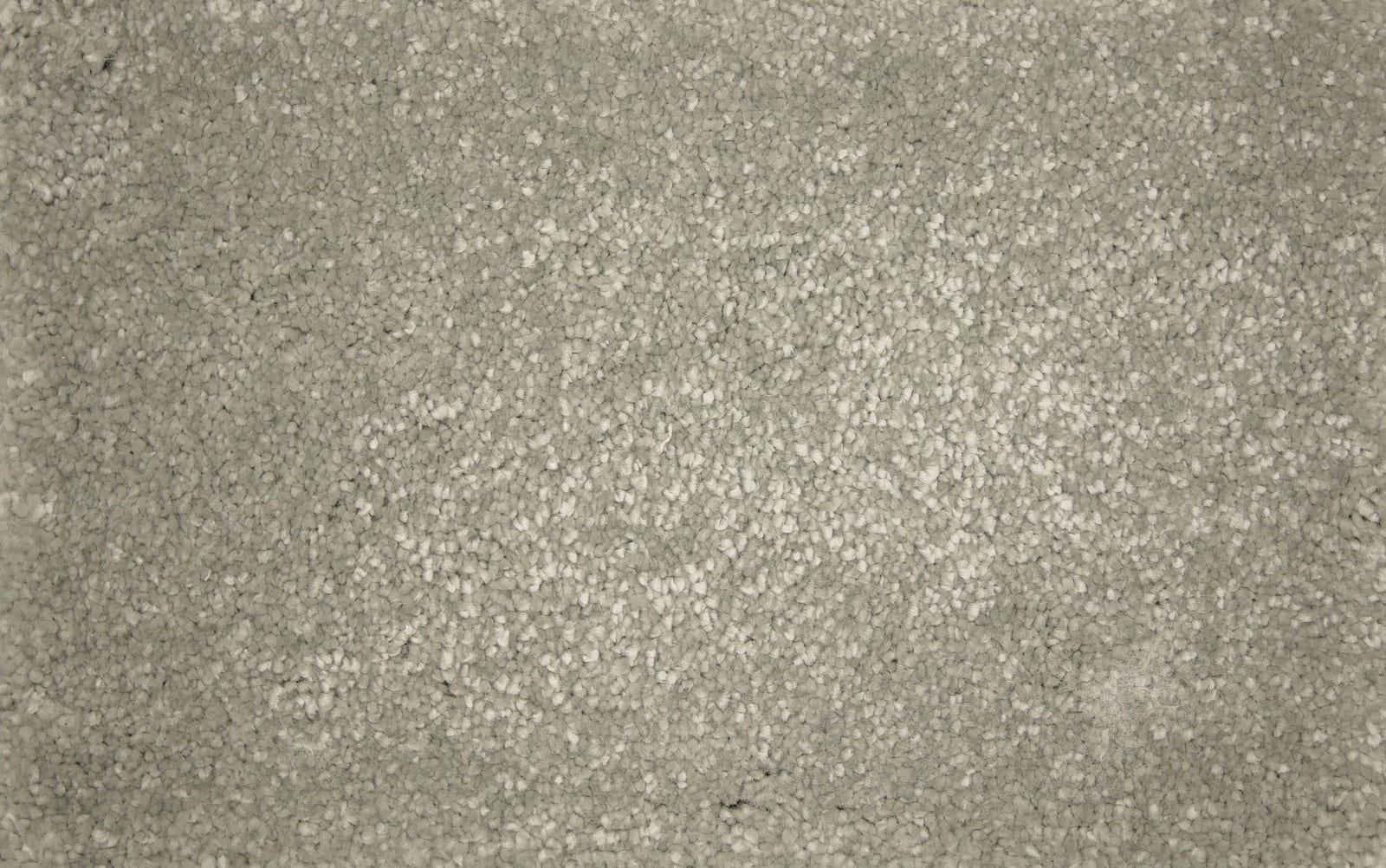 Alfombra Saffier 860 - Eurogros