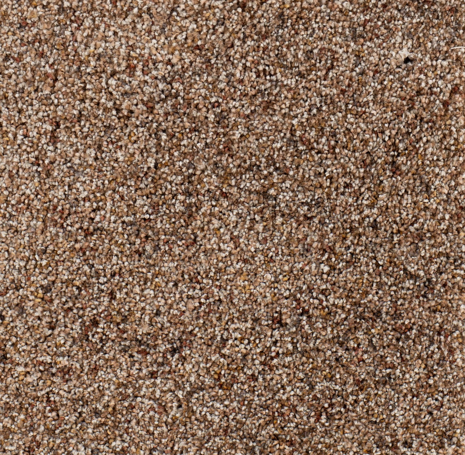Alfombra Solena 06 - Eurogros