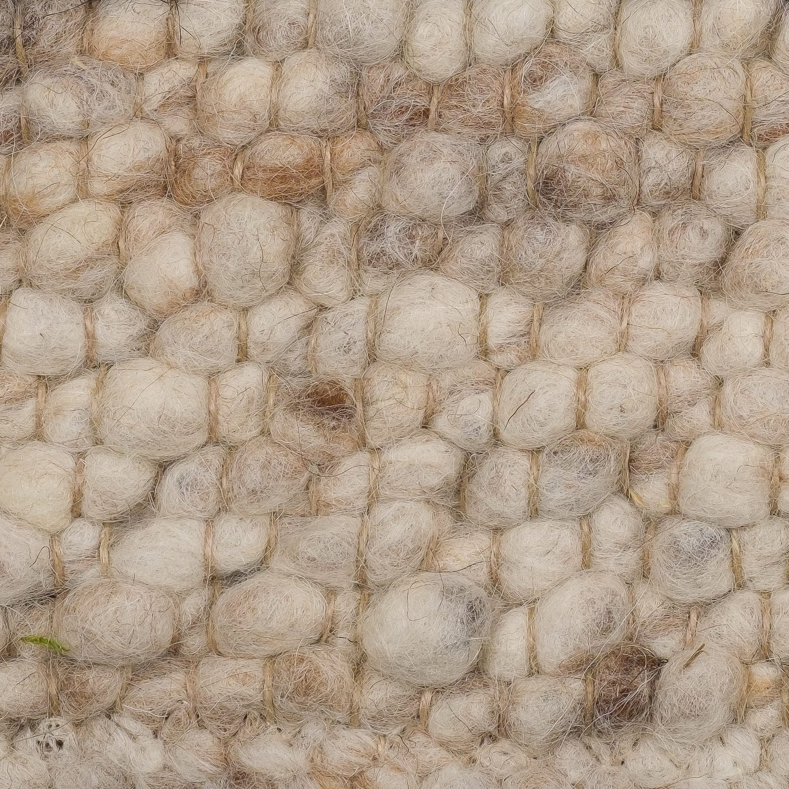 Rug Ulva 177 - Eurogros