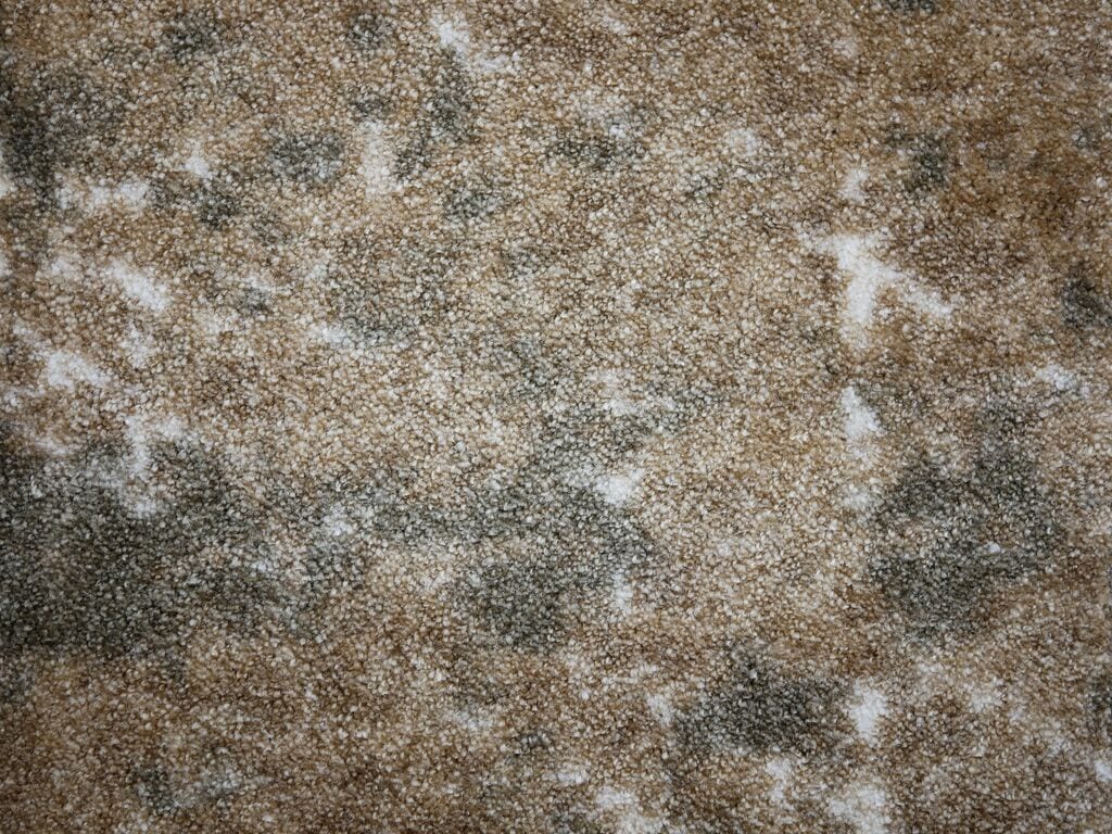 Rug Veron 491 - Eurogros, foto 2