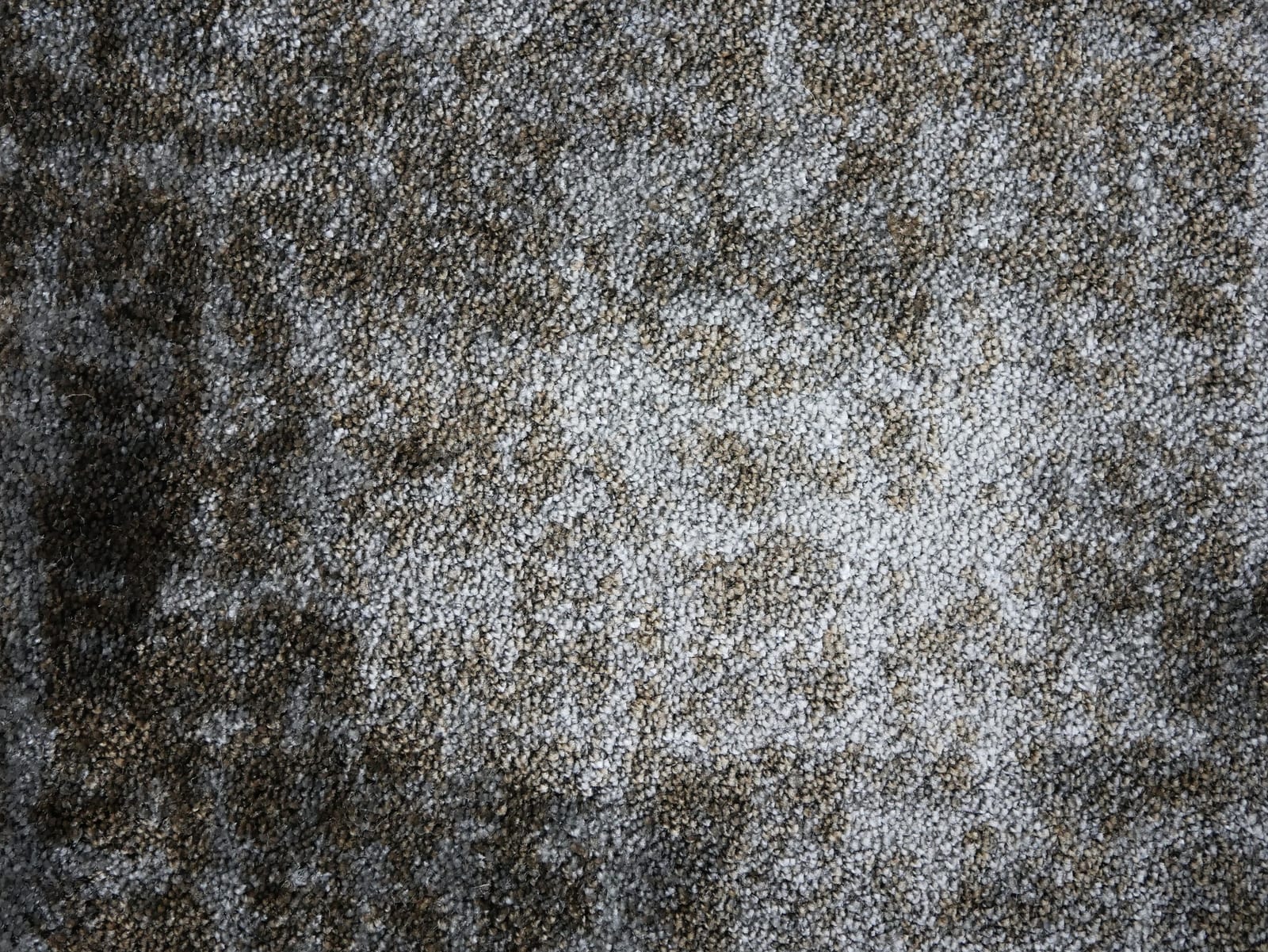Alfombra Vivas 152 - Eurogros