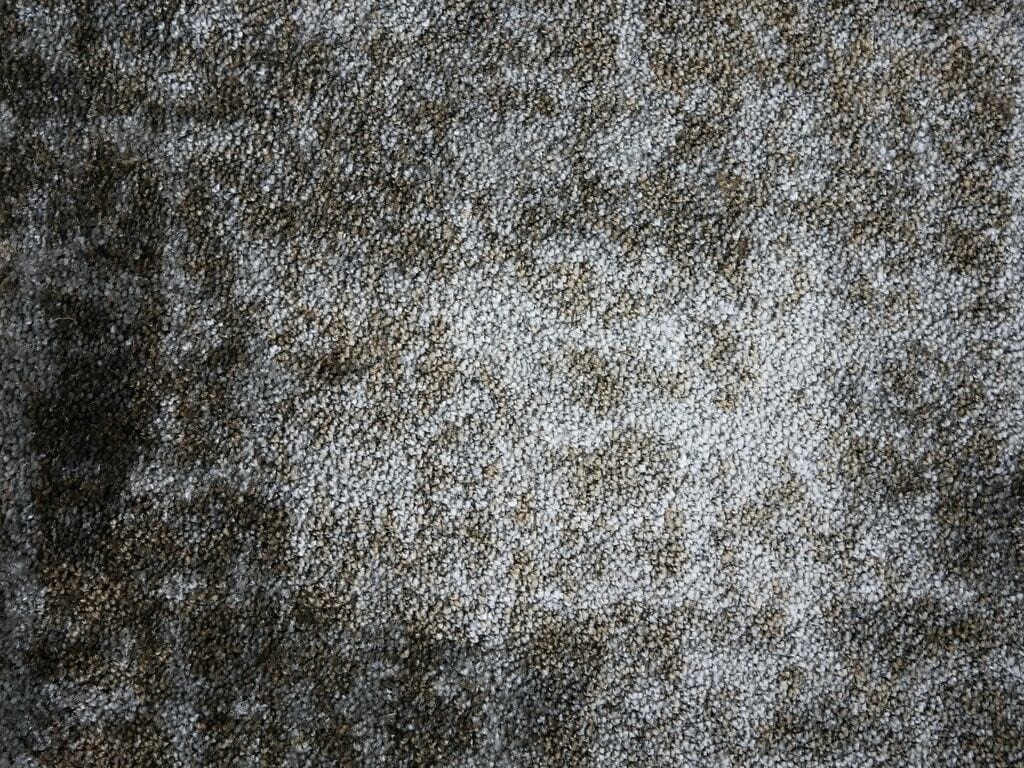 Alfombra Vivas 152 - Eurogros, foto 2