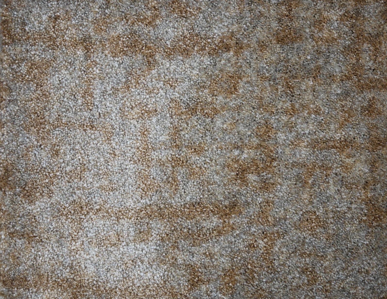 Alfombra Vivas 491 - Eurogros