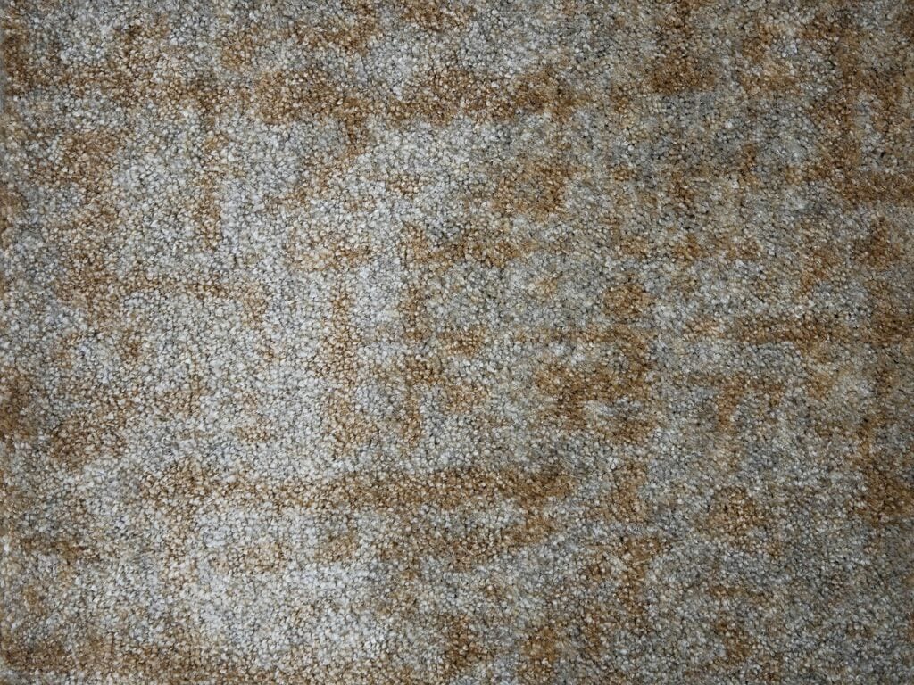 Alfombra Vivas 491 - Eurogros, foto 2