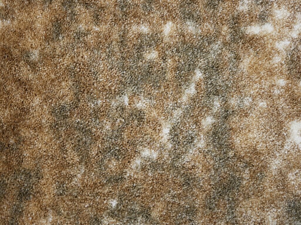 Rug Vivas 964 - Eurogros, foto 2