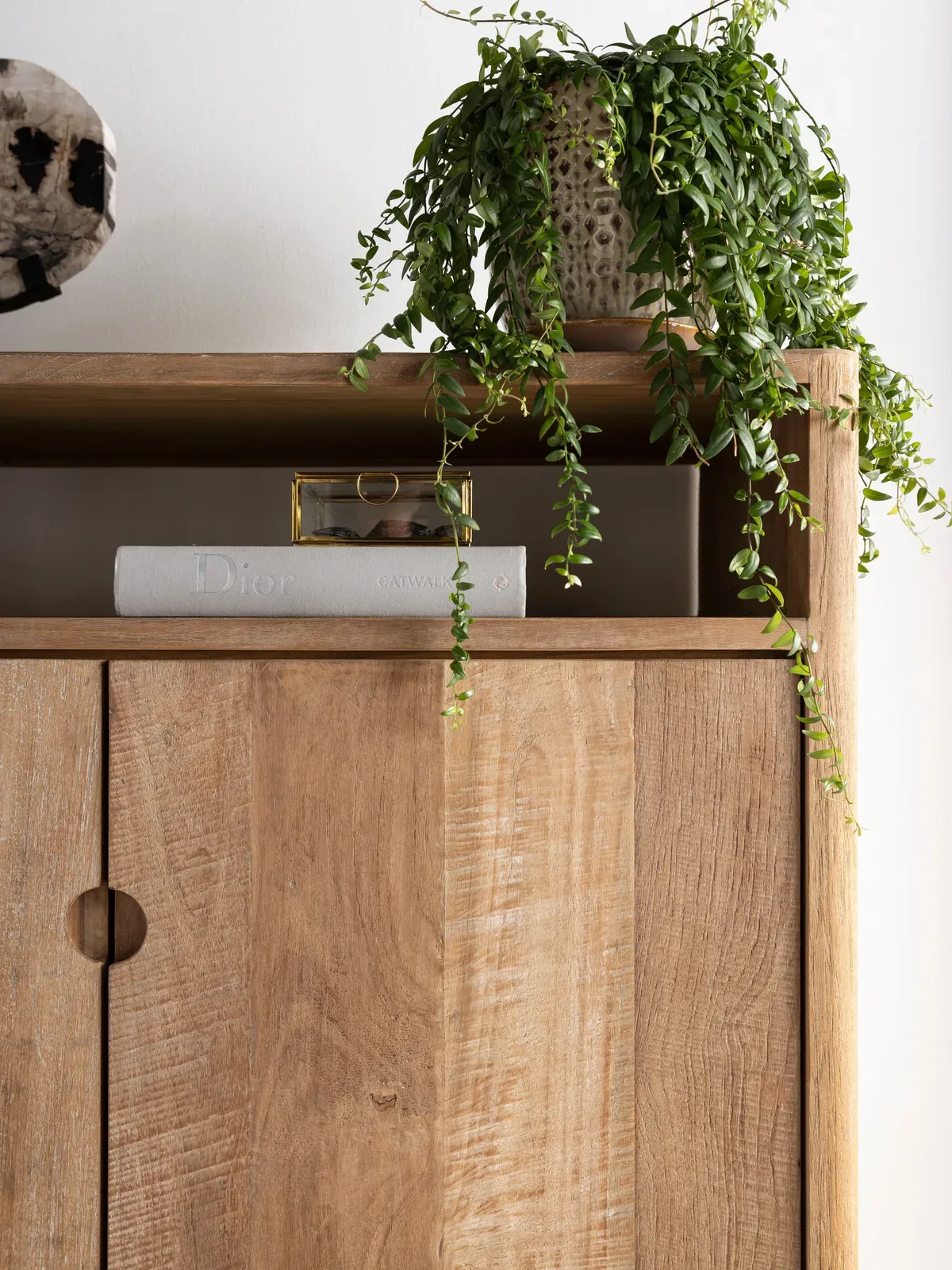 Detailopname van de Kast Apollo laag met een plant en decoratie op de bovenste plank - DTP Home