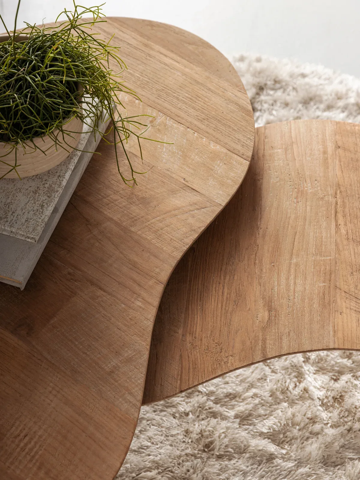 Close-up van de Salontafel Apollo met een plant en boeken op het bovenste blad, gezien van bovenaf - DTP Home