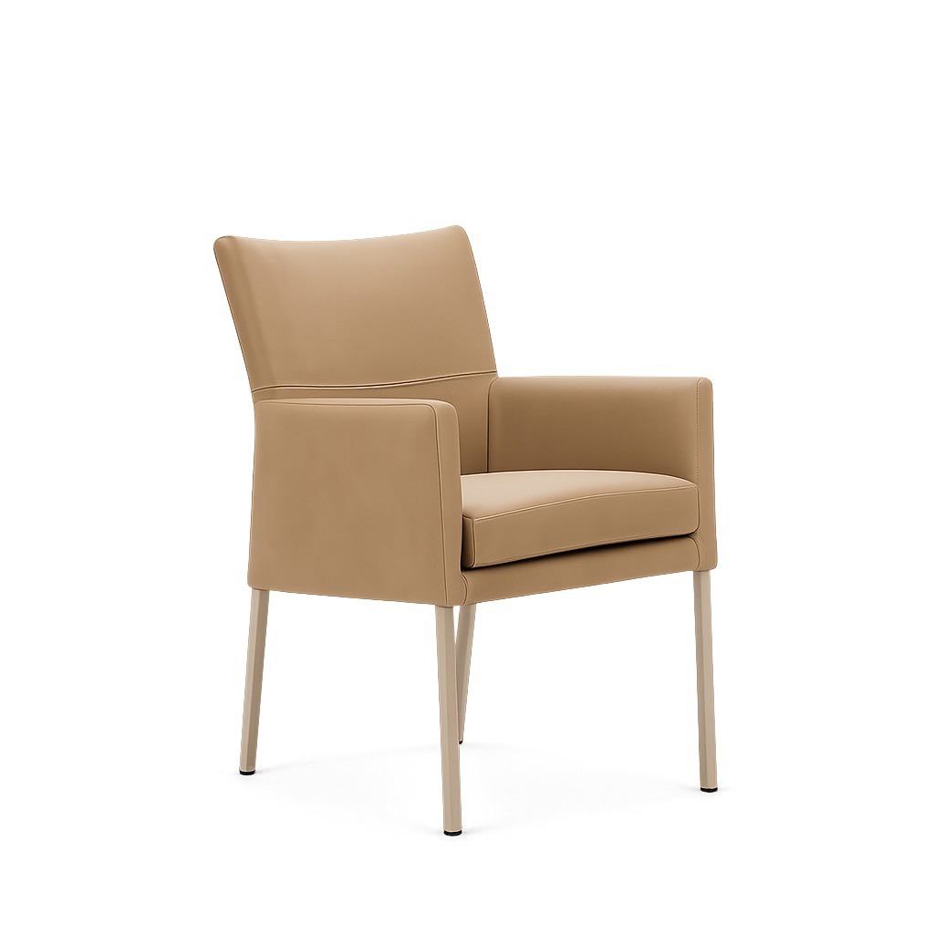 Eetkamerstoel Nossa - HE design, foto 2