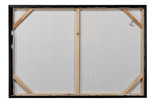 Schilderij Vissende meeuwen - Hiskiart
