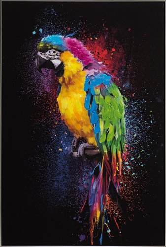 Cuadro Loro colorido - Hiskiart