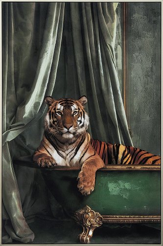 Cuadro Quiet Moment in the Jungle - Hiskiart