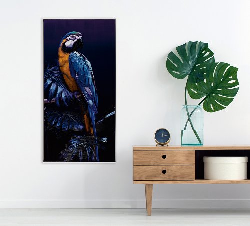 Cuadro Guacamayo azul - Hiskiart