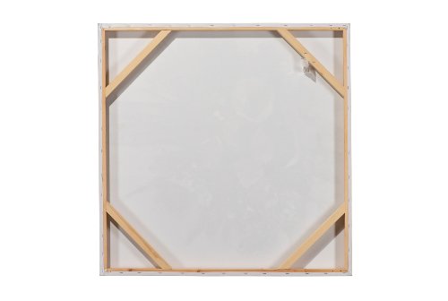 Schilderij Koe met veren - Hiskiart