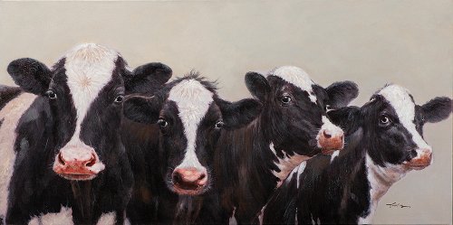 Schilderij Koeien kijken mee - Hiskiart
