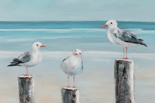 Schilderij Meeuwen aan zee - Hiskiart
