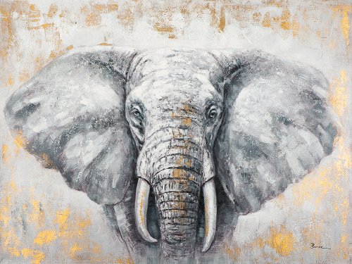 Schilderij Olifant met open oren - Hiskiart