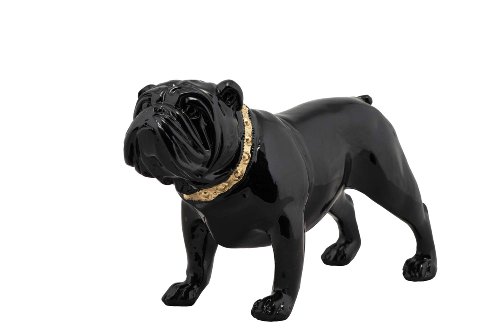 Sculptuur Buldog met gouden halsband - Hiskiart