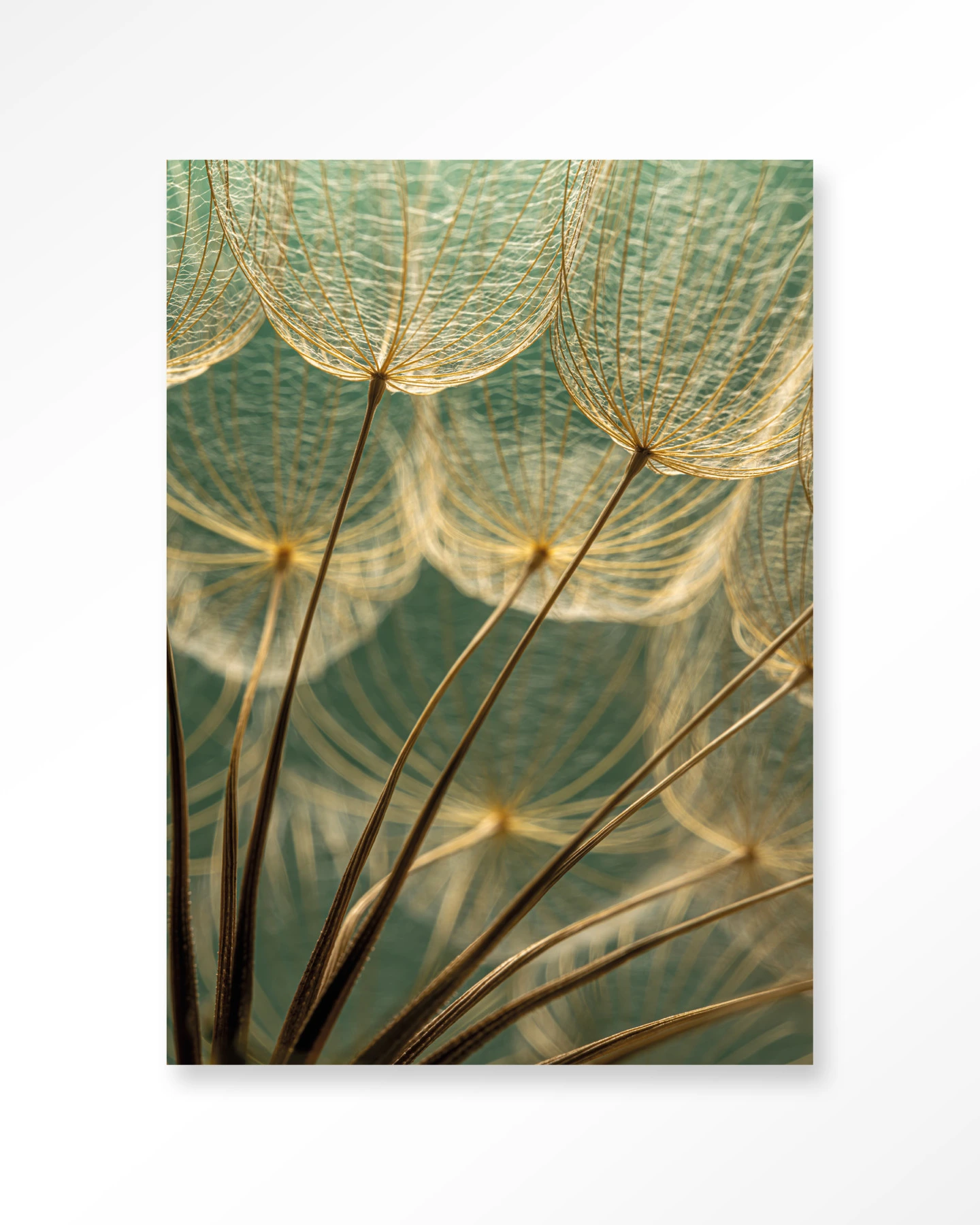 Wall Hanging Van Abstractie Tot Detail - Urban Cotton - Urban Cotton