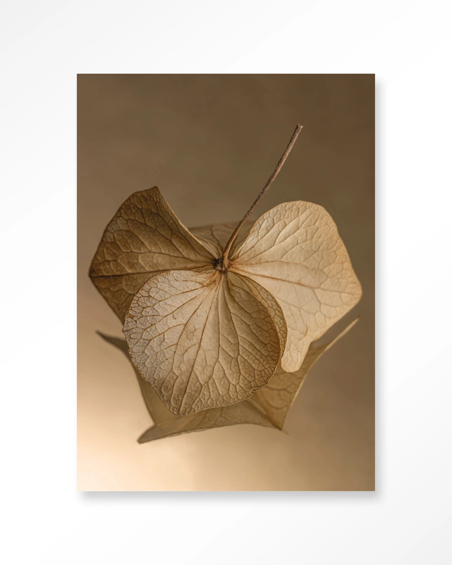 Wandteppich Leaf Me: Sheltered - Urban Cotton - Urban Cotton
