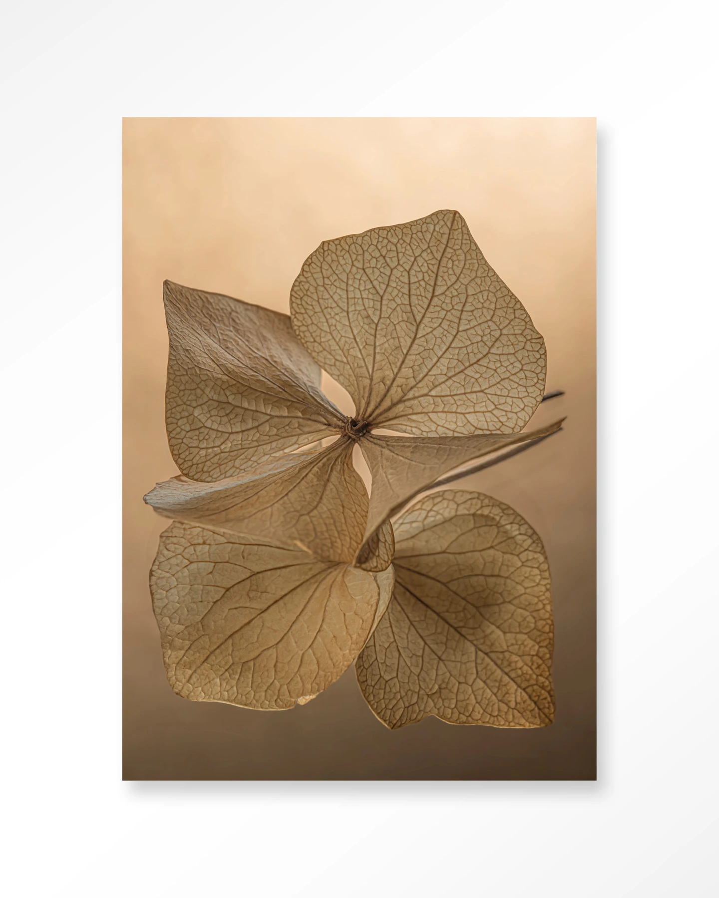 Wandbehang Leaf Me: Unfolded - Urban Cotton - Urban Cotton