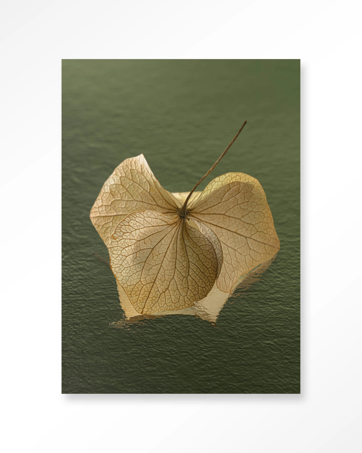 Wall Hanging Leaf Me: In The Green - Urban Cotton - Urban Cotton