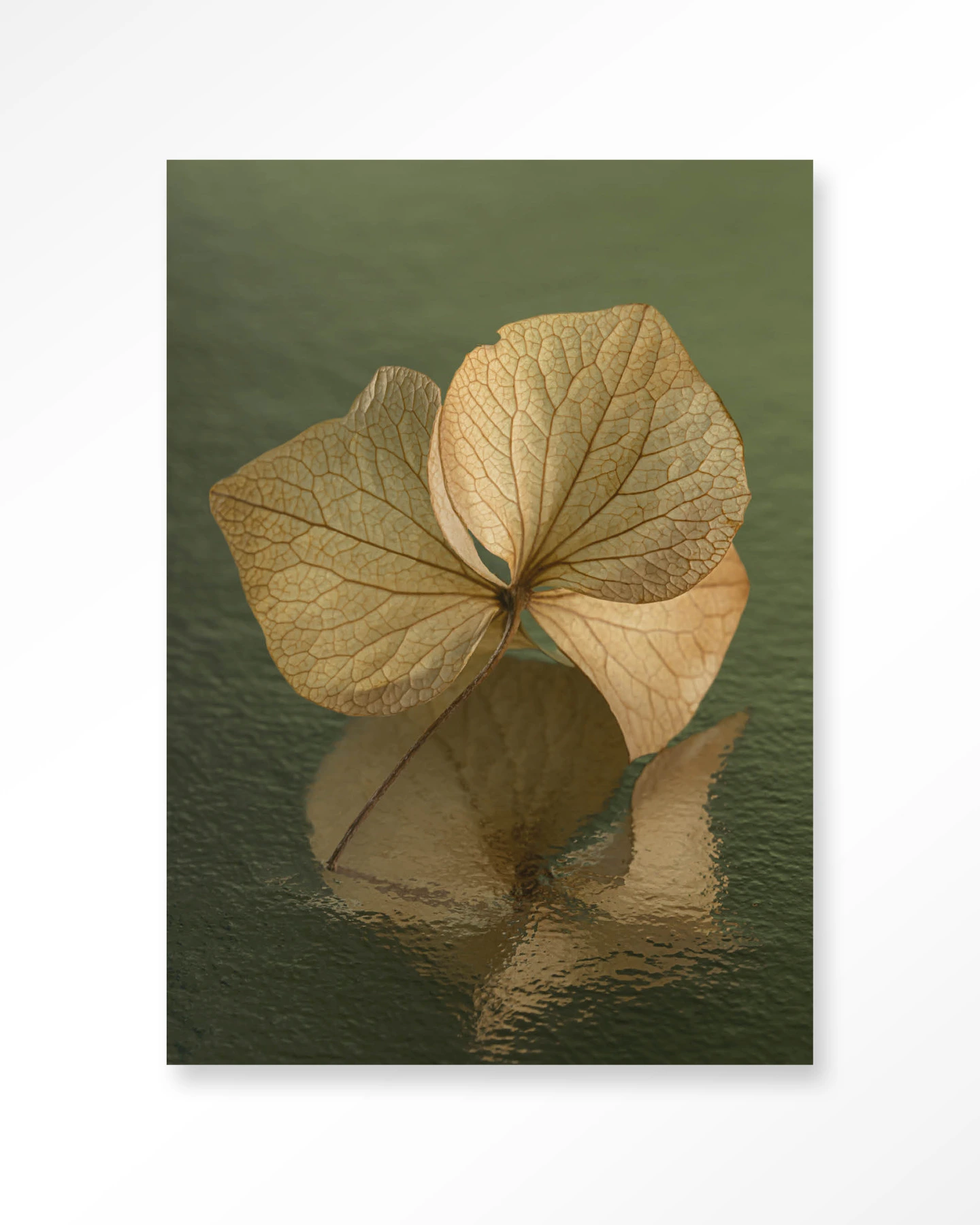 Wall Hanging Leaf Me: In Reflection - Urban Cotton - Urban Cotton