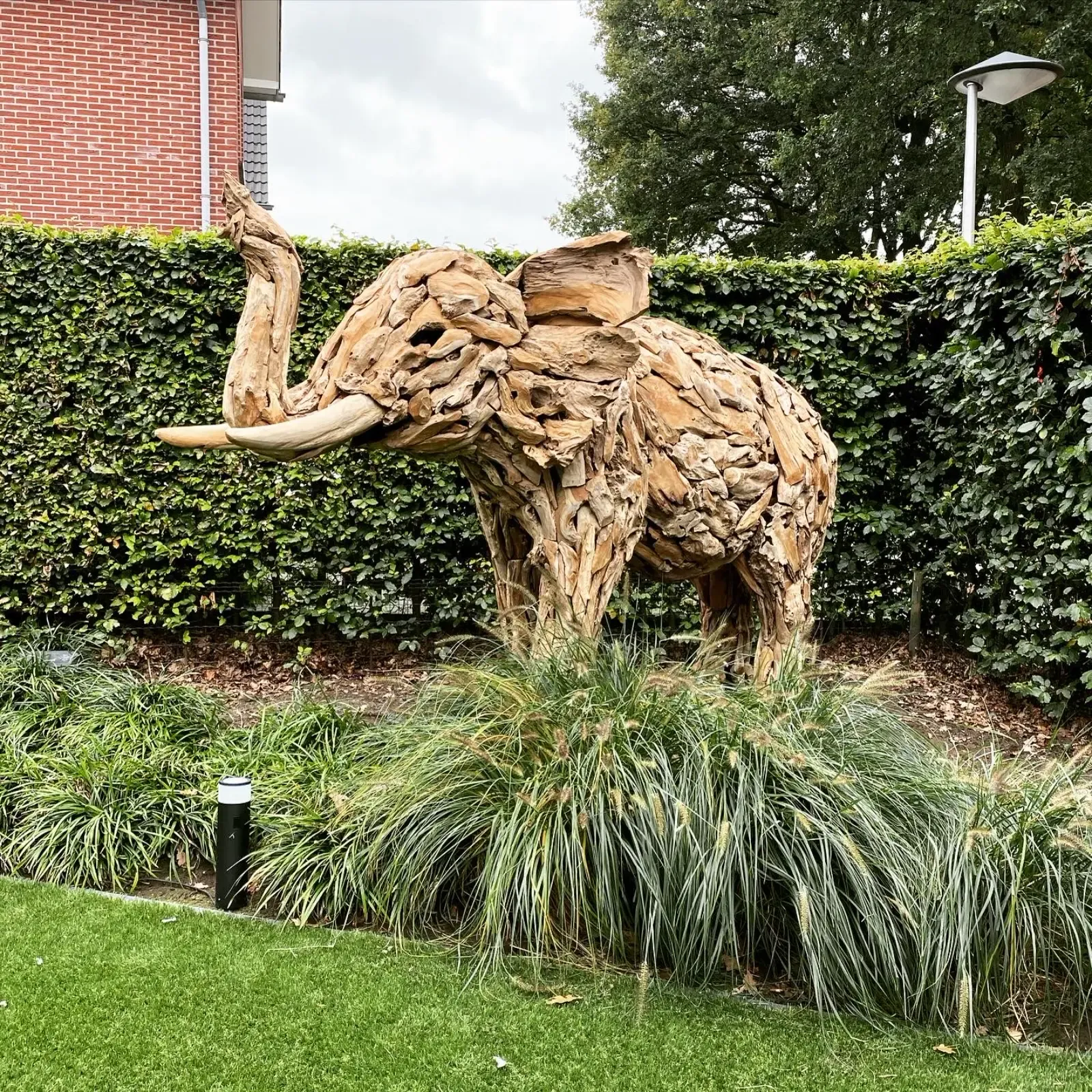 Elefant groß Teak - Mokana Furniture