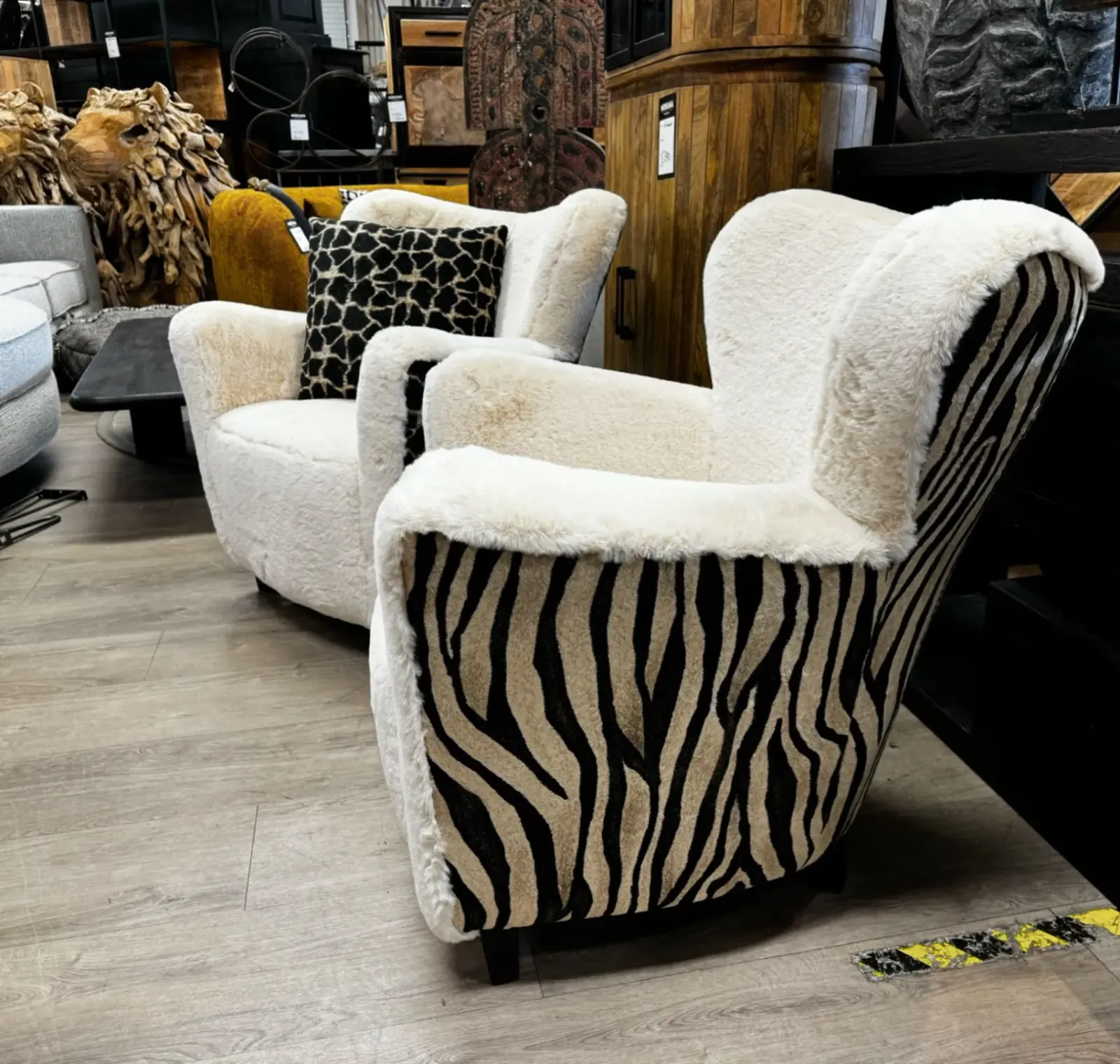Minoe Zebra